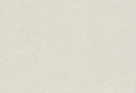HookedOnWalls Passe Partout 2025 Tone on Tone Tone on Tone behang 4411Afbeelding 1
