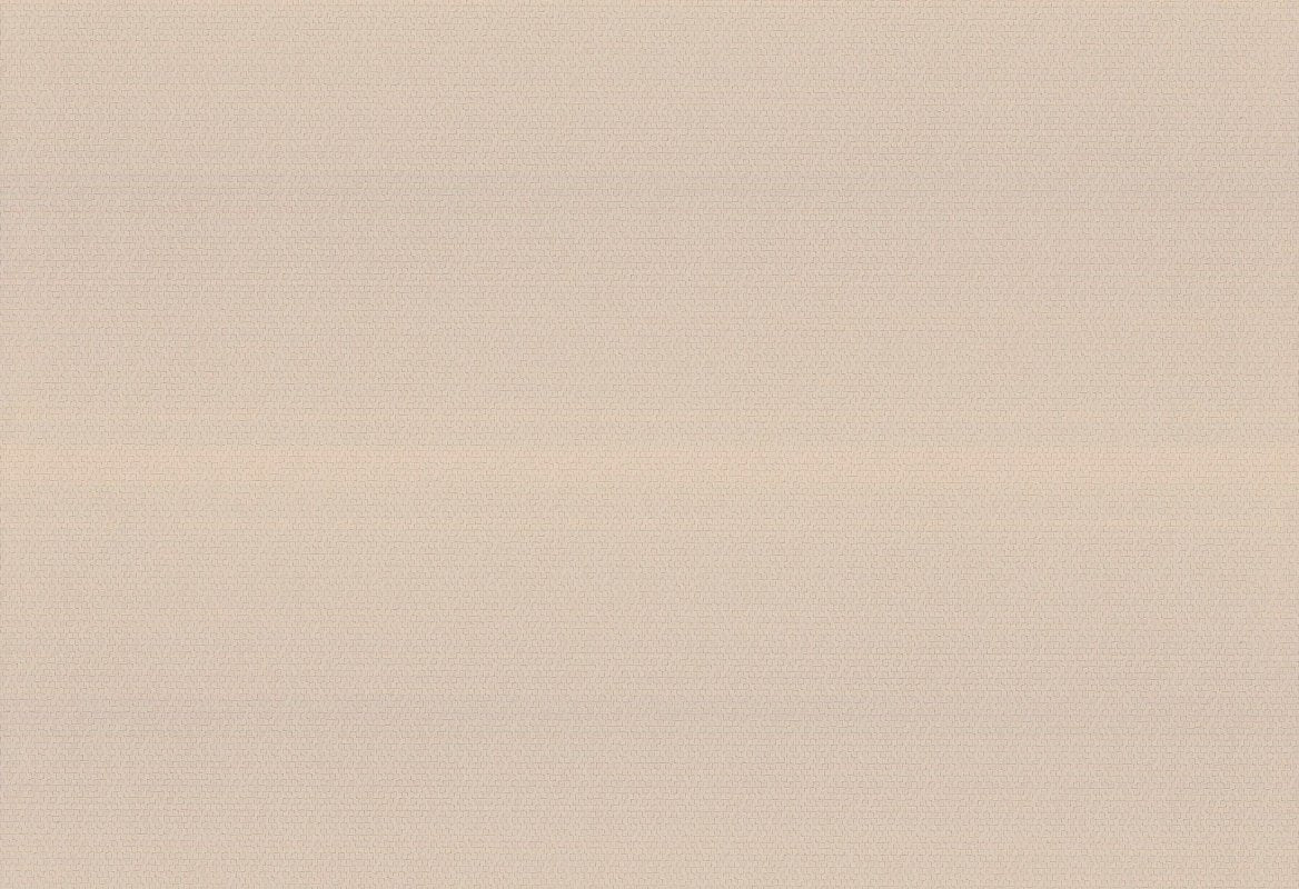 HookedOnWalls Passe Partout 2025 Tone on Tone Tone on Tone behang 4418Afbeelding 1
