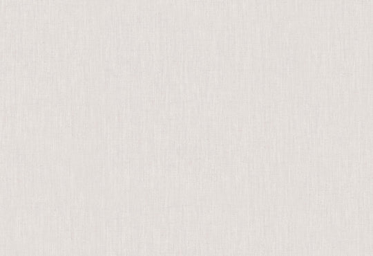 HookedOnWalls Passe Partout 2025 Tone on Tone Tone on Tone behang 4419Afbeelding 1