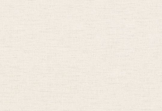 HookedOnWalls Passe Partout 2025 Tone on Tone Tone on Tone behang 4412Afbeelding 1