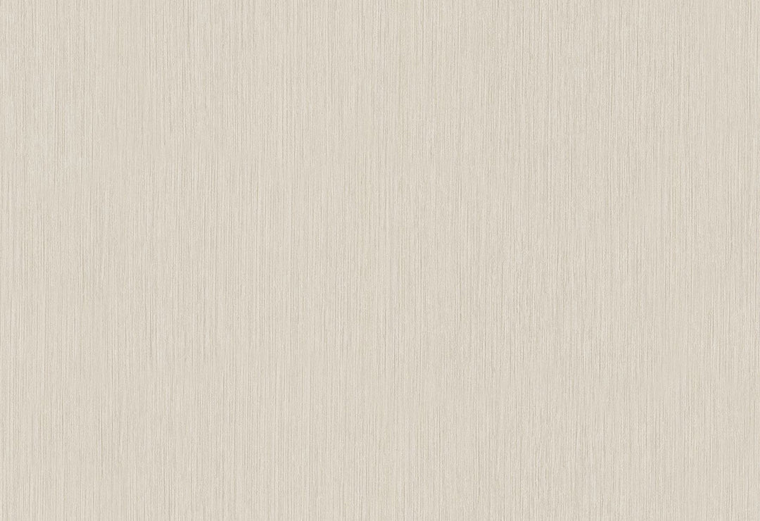 HookedOnWalls Passe Partout 2025 Tone on Tone Tone on Tone behang 4416Afbeelding 1