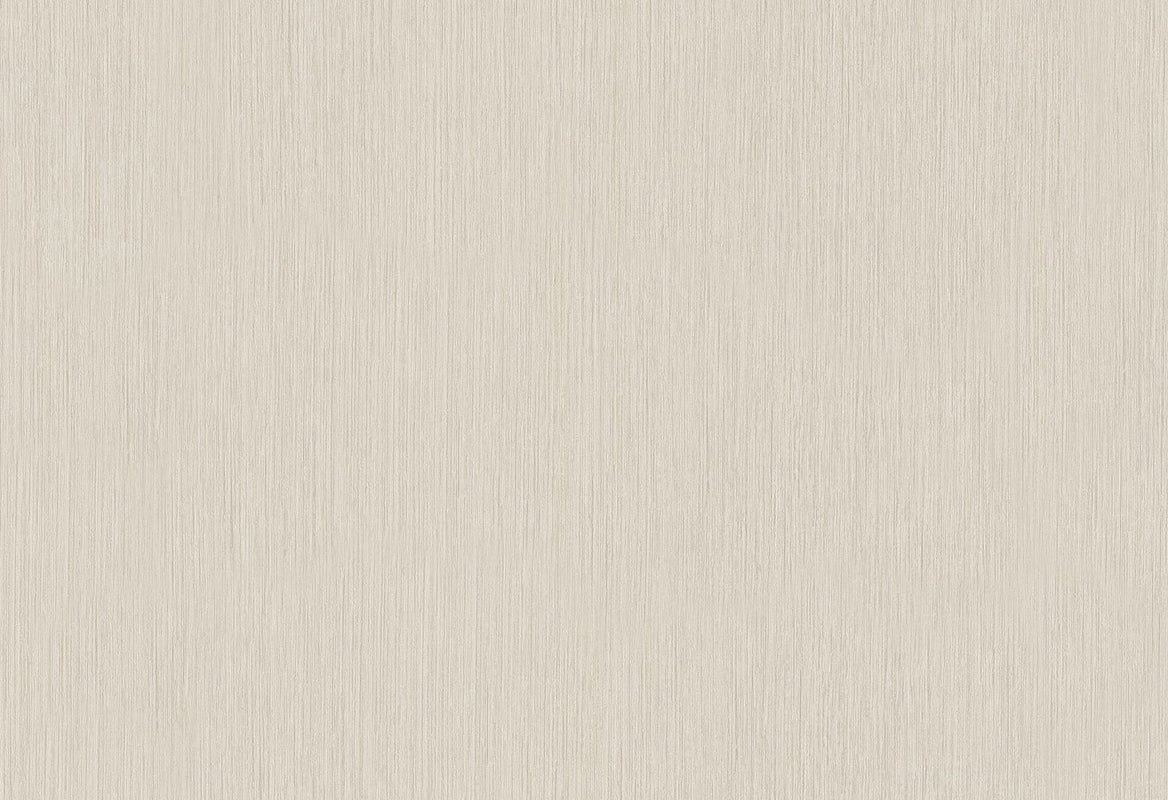 HookedOnWalls Passe Partout 2025 Tone on Tone Tone on Tone behang 4416Afbeelding 1
