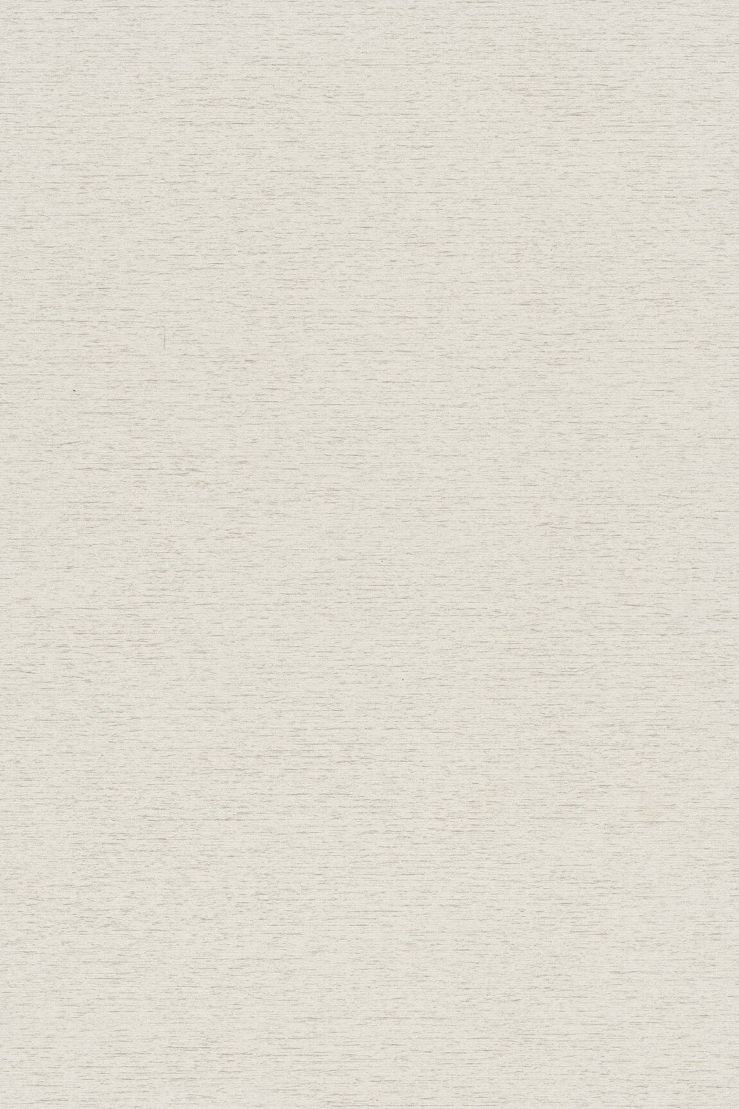 HookedOnWalls Passe Partout 2025 Tone on Tone Tone on Tone behang 4411Afbeelding 3
