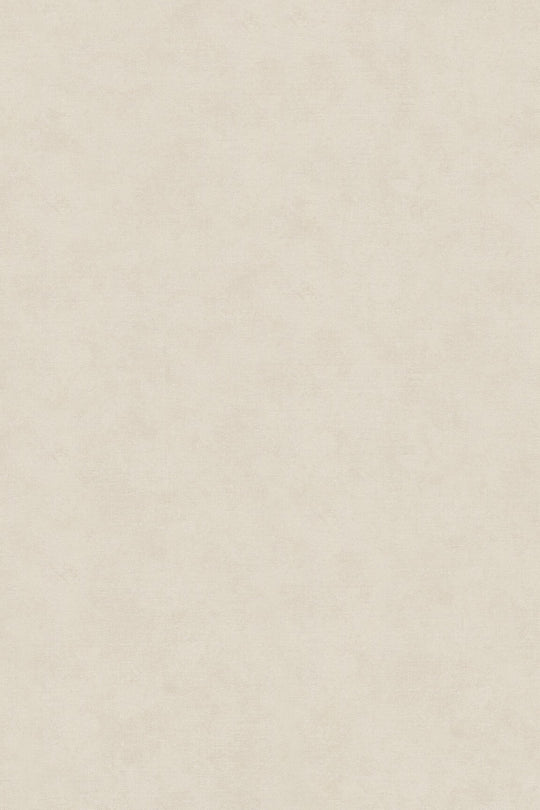 HookedOnWalls Passe Partout 2025 Tone on Tone Tone on Tone behang 4414Afbeelding 3