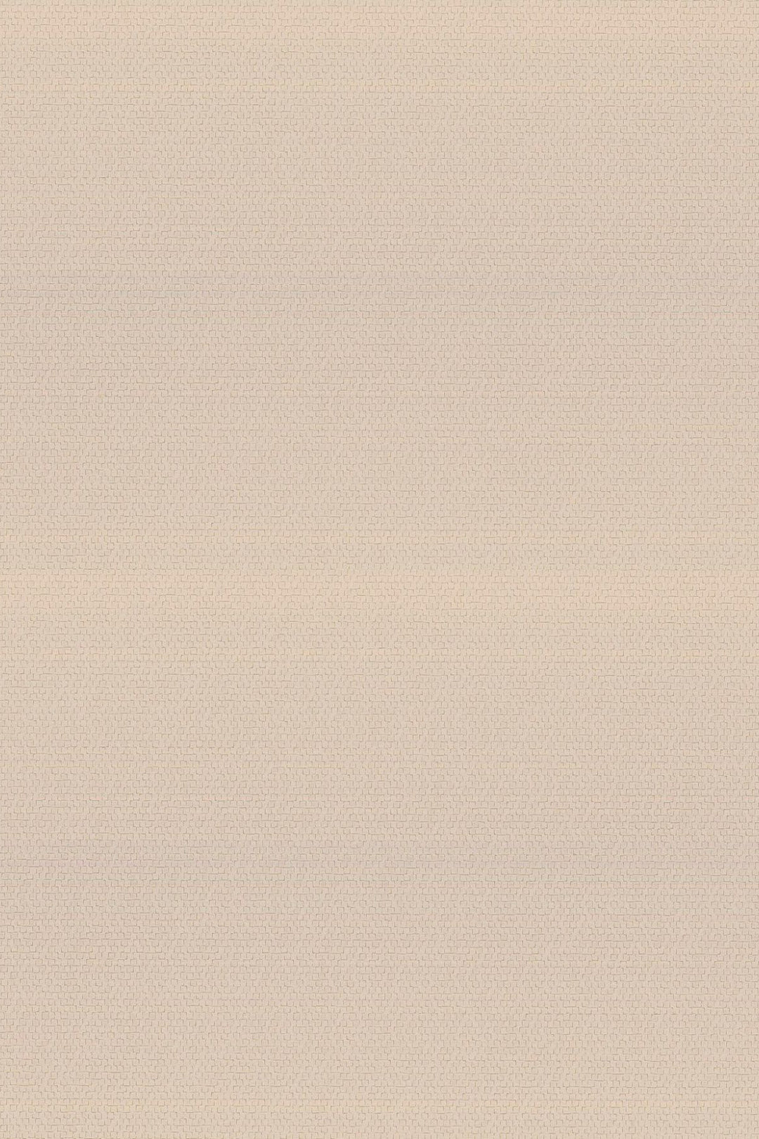 HookedOnWalls Passe Partout 2025 Tone on Tone Tone on Tone behang 4418Afbeelding 3