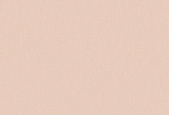 HookedOnWalls Passe Partout 2025 Tone on Tone Tone on Tone behang 4424Afbeelding 1