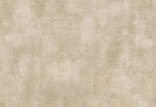 HookedOnWalls Passe Partout 2025 Tone on Tone Tone on Tone behang 4421Afbeelding 1
