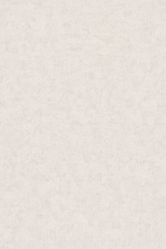 HookedOnWalls Passe Partout 2025 Tone on Tone Tone on Tone behang 4420Afbeelding 3