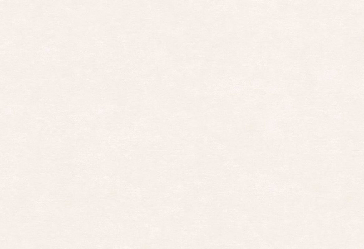 HookedOnWalls Passe Partout 2025 Tone on Tone Tone on Tone behang 4435Afbeelding 1