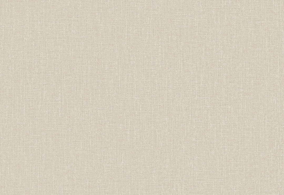 HookedOnWalls Passe Partout 2025 Tone on Tone Tone on Tone behang 4437Afbeelding 1