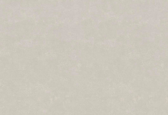 HookedOnWalls Passe Partout 2025 Tone on Tone Tone on Tone behang 4438Afbeelding 1