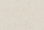 HookedOnWalls Passe Partout 2025 Tone on Tone Tone on Tone behang 4439Afbeelding 1