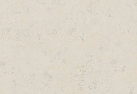 HookedOnWalls Passe Partout 2025 Tone on Tone Tone on Tone behang 4439Afbeelding 1