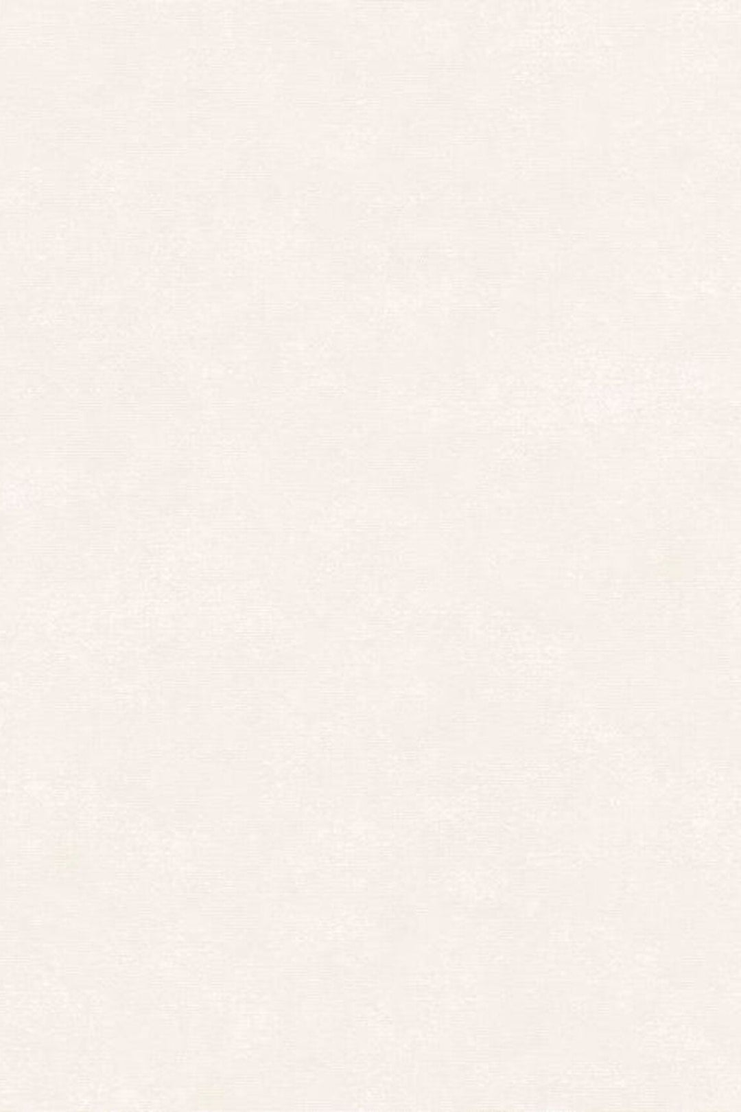 HookedOnWalls Passe Partout 2025 Tone on Tone Tone on Tone behang 4435Afbeelding 3