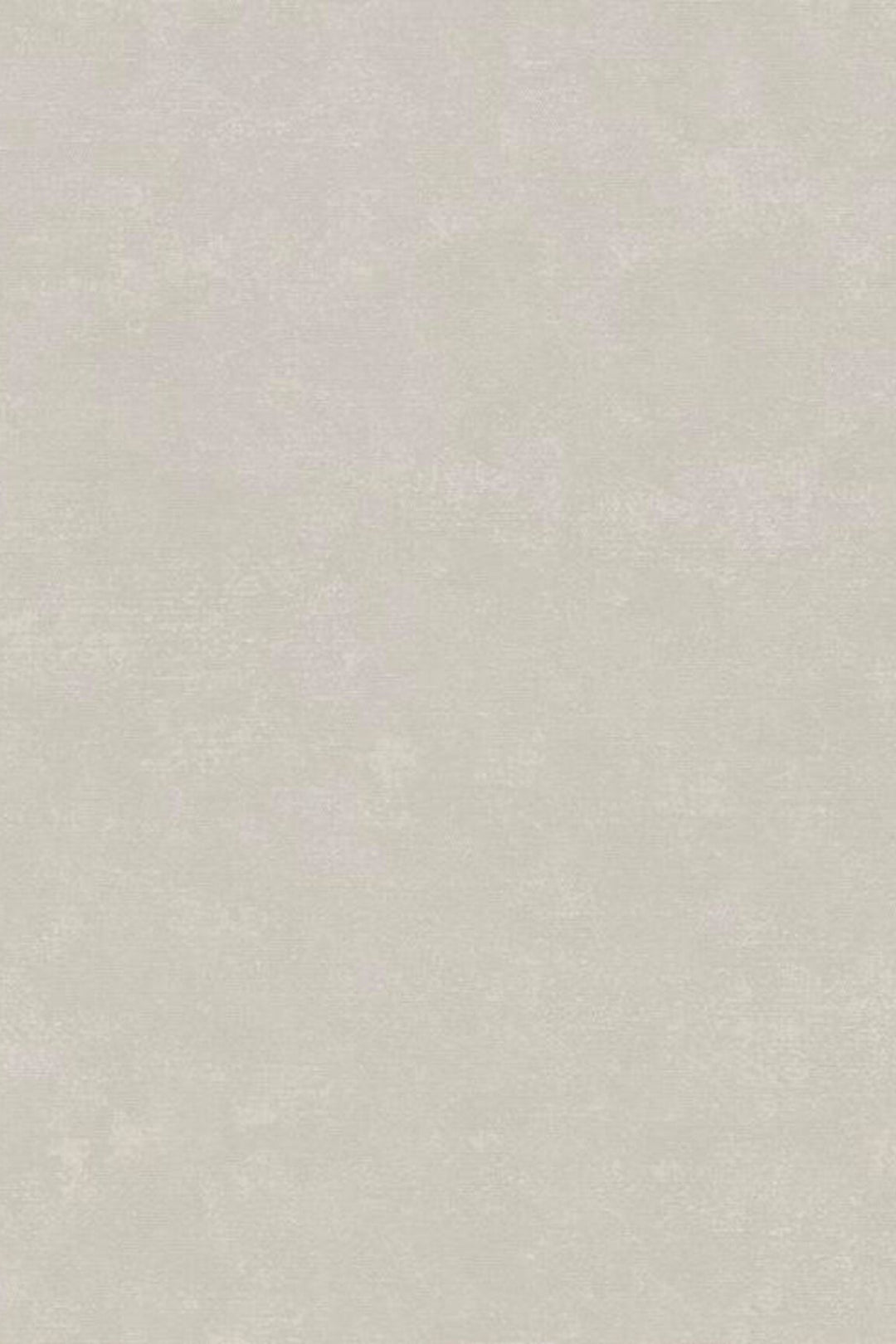 HookedOnWalls Passe Partout 2025 Tone on Tone Tone on Tone behang 4438Afbeelding 3