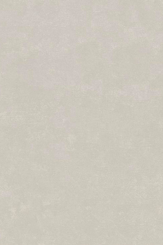 HookedOnWalls Passe Partout 2025 Tone on Tone Tone on Tone behang 4438Afbeelding 3