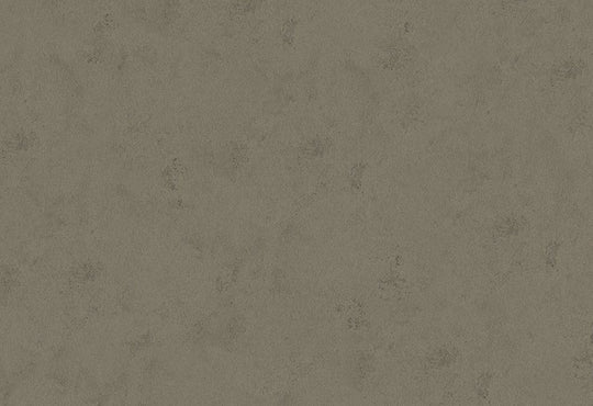 HookedOnWalls Passe Partout 2025 Tone on Tone Tone on Tone behang 4447Afbeelding 1