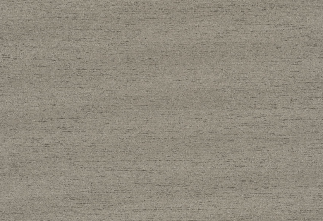 HookedOnWalls Passe Partout 2025 Tone on Tone Tone on Tone behang 4446Afbeelding 1