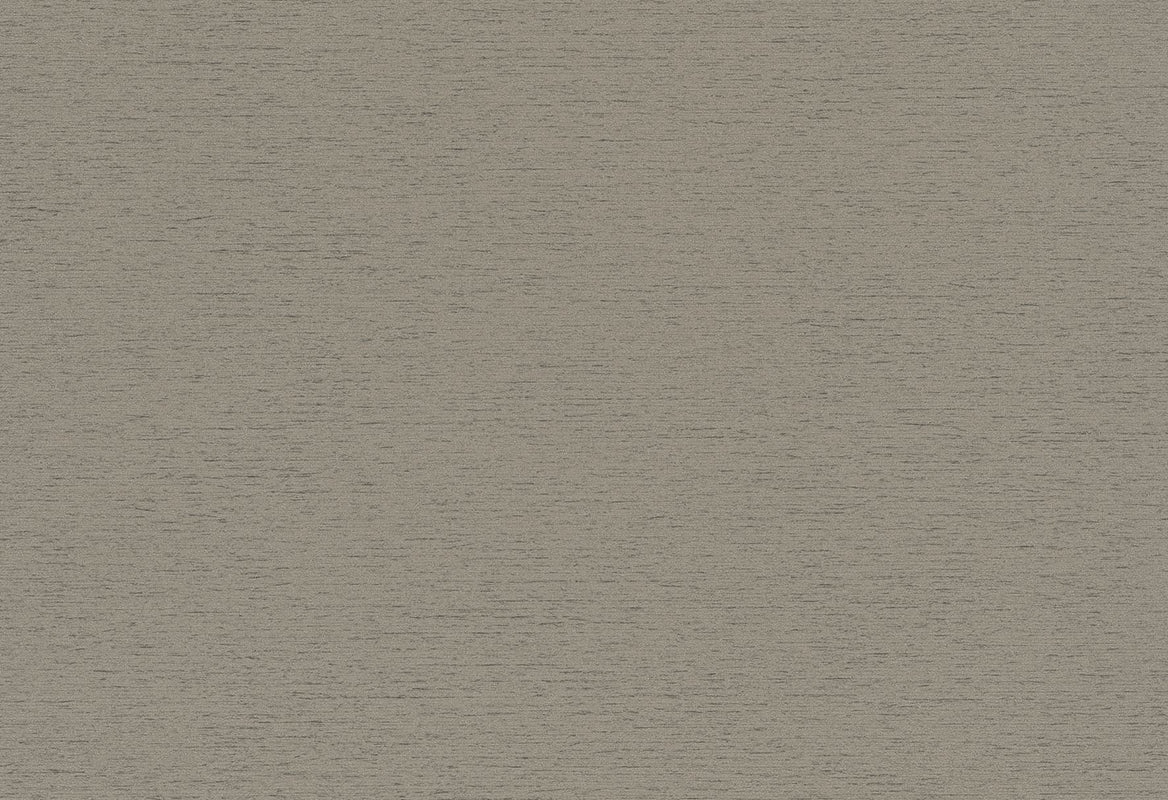 HookedOnWalls Passe Partout 2025 Tone on Tone Tone on Tone behang 4446Afbeelding 1