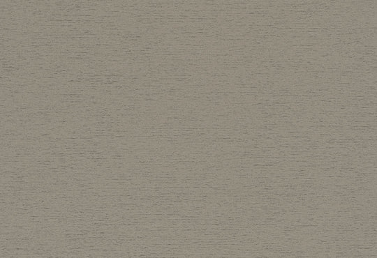 HookedOnWalls Passe Partout 2025 Tone on Tone Tone on Tone behang 4446Afbeelding 1