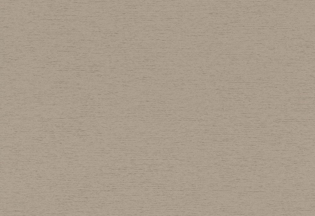 HookedOnWalls Passe Partout 2025 Tone on Tone Tone on Tone behang 4448Afbeelding 1