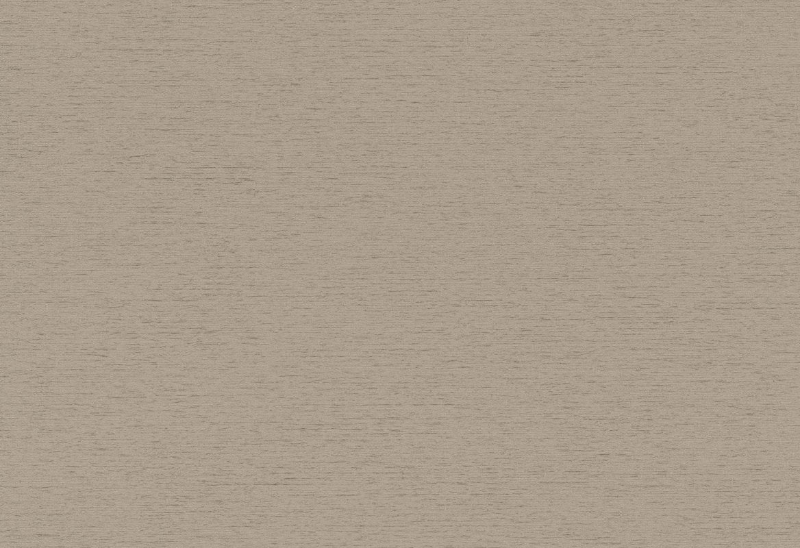 HookedOnWalls Passe Partout 2025 Tone on Tone Tone on Tone behang 4448Afbeelding 1