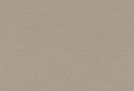 HookedOnWalls Passe Partout 2025 Tone on Tone Tone on Tone behang 4448Afbeelding 1