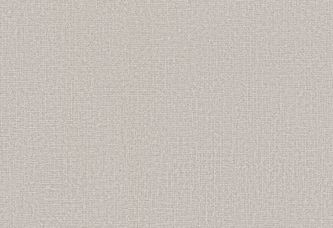 HookedOnWalls Passe Partout 2025 Tone on Tone Tone on Tone behang 4442Afbeelding 1