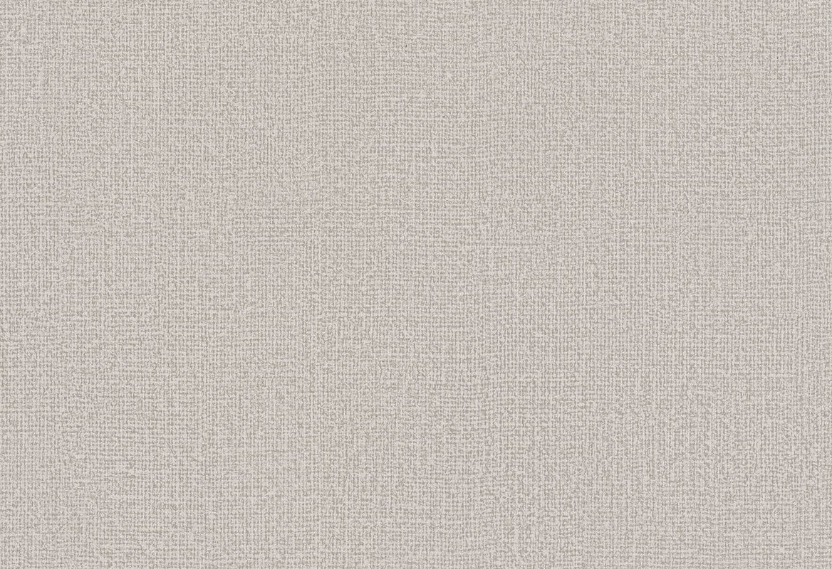 HookedOnWalls Passe Partout 2025 Tone on Tone Tone on Tone behang 4442Afbeelding 1