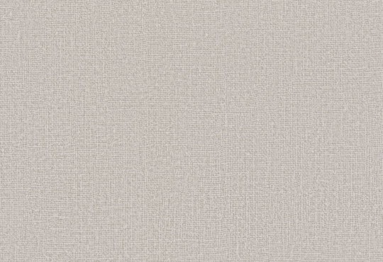 HookedOnWalls Passe Partout 2025 Tone on Tone Tone on Tone behang 4442Afbeelding 1