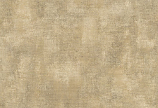 HookedOnWalls Passe Partout 2025 Tone on Tone Tone on Tone behang 4449Afbeelding 1