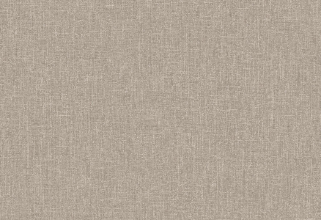 HookedOnWalls Passe Partout 2025 Tone on Tone Tone on Tone behang 4444Afbeelding 1