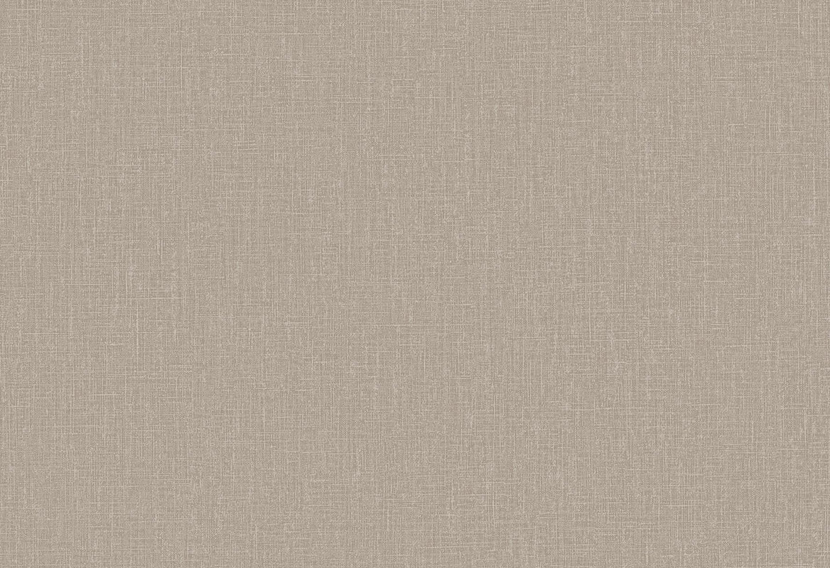 HookedOnWalls Passe Partout 2025 Tone on Tone Tone on Tone behang 4444Afbeelding 1