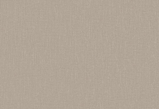 HookedOnWalls Passe Partout 2025 Tone on Tone Tone on Tone behang 4444Afbeelding 1