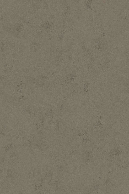 HookedOnWalls Passe Partout 2025 Tone on Tone Tone on Tone behang 4447Afbeelding 3
