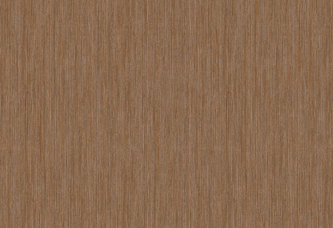 HookedOnWalls Passe Partout 2025 Tone on Tone Tone on Tone behang 4454Afbeelding 1