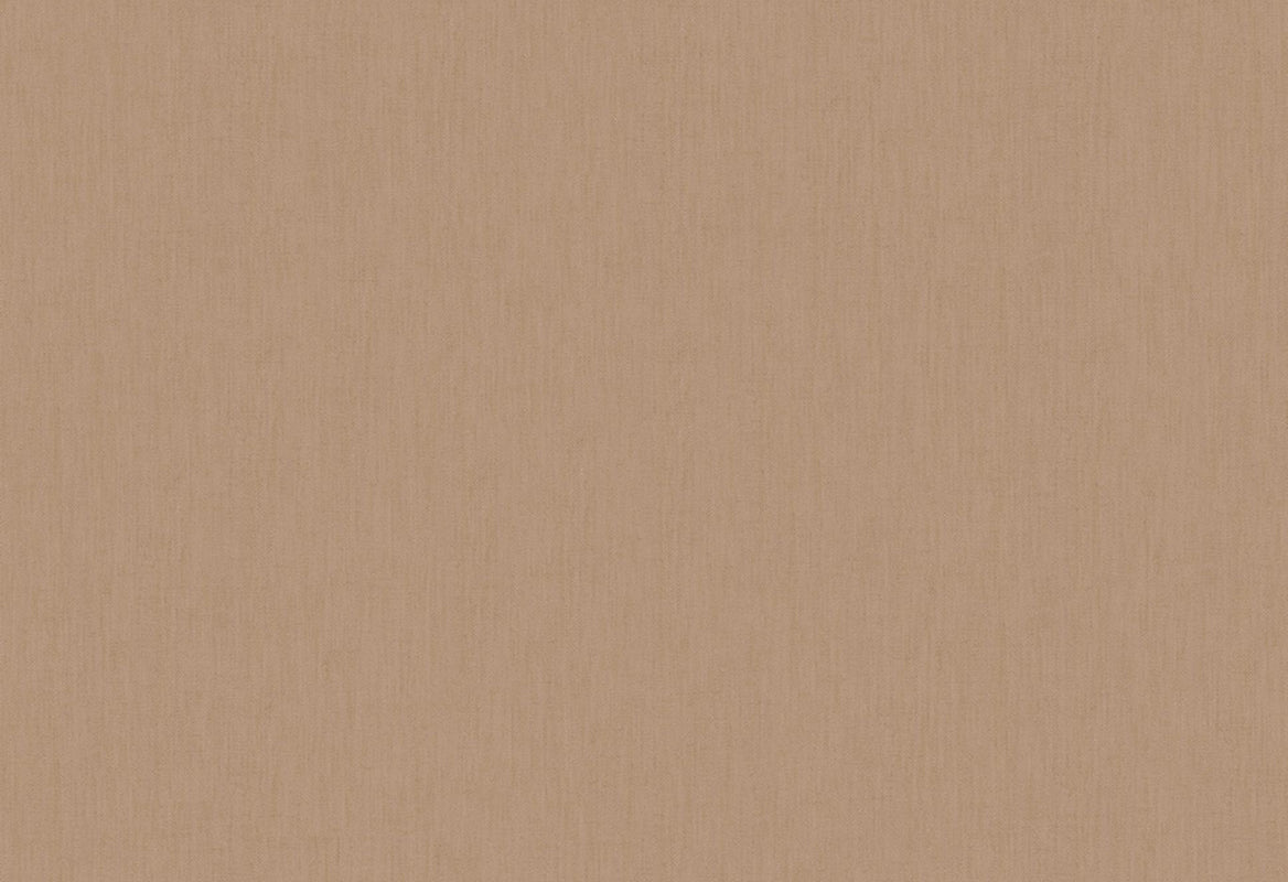 HookedOnWalls Passe Partout 2025 Tone on Tone Tone on Tone behang 4452Afbeelding 1