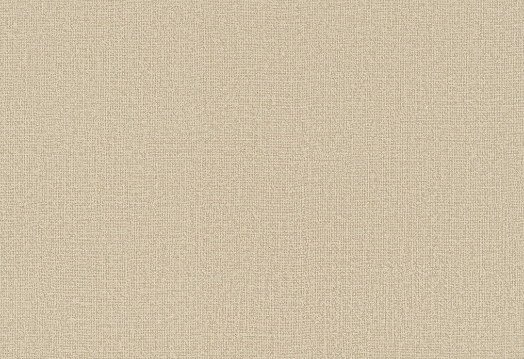 HookedOnWalls Passe Partout 2025 Tone on Tone Tone on Tone behang 4457Afbeelding 1