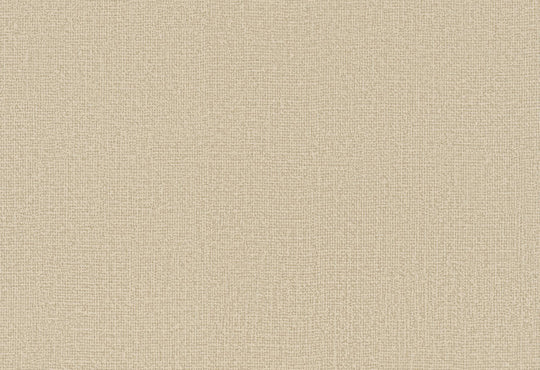 HookedOnWalls Passe Partout 2025 Tone on Tone Tone on Tone behang 4457Afbeelding 1