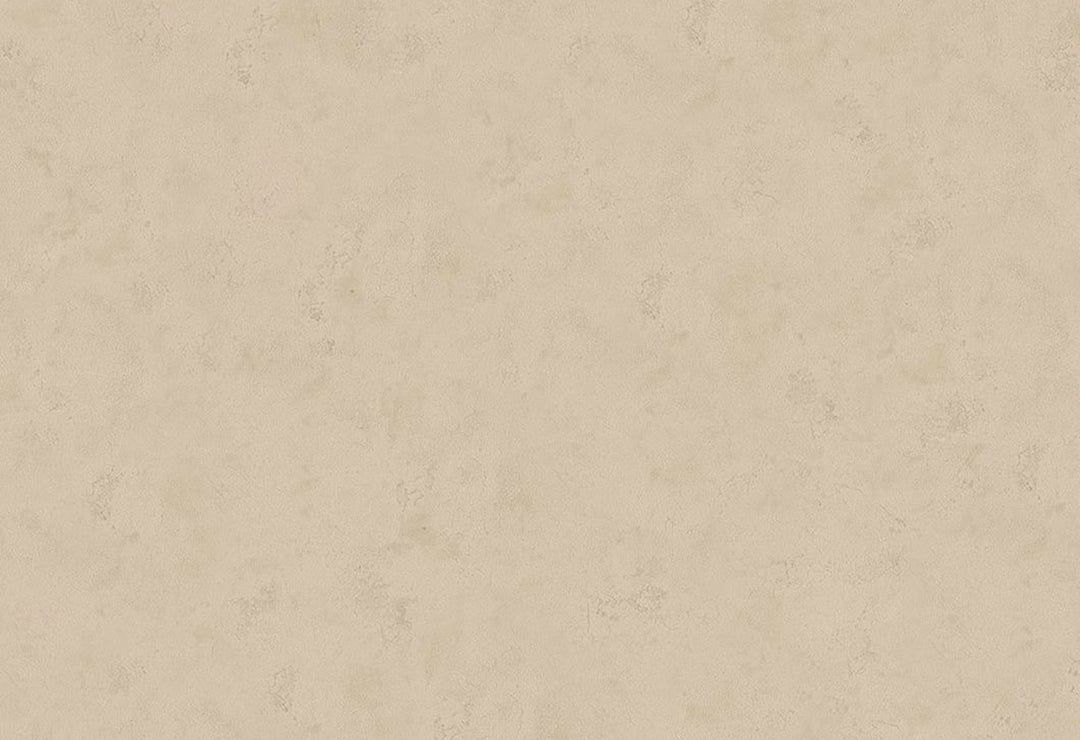 HookedOnWalls Passe Partout 2025 Tone on Tone Tone on Tone behang 4458Afbeelding 1