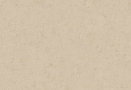 HookedOnWalls Passe Partout 2025 Tone on Tone Tone on Tone behang 4458Afbeelding 1