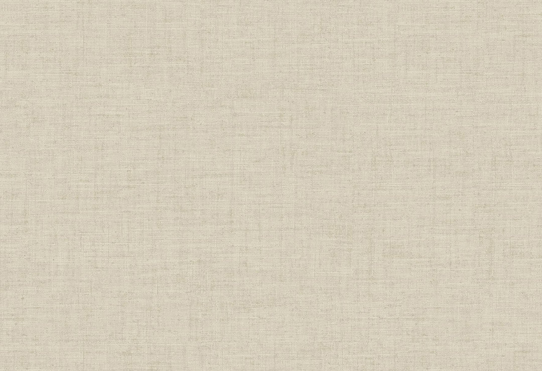 HookedOnWalls Passe Partout 2025 Tone on Tone Tone on Tone behang 4456Afbeelding 1