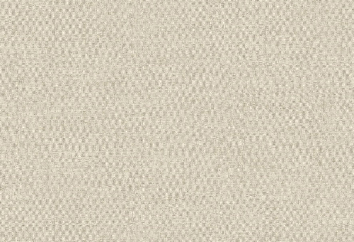 HookedOnWalls Passe Partout 2025 Tone on Tone Tone on Tone behang 4456Afbeelding 1