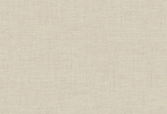 HookedOnWalls Passe Partout 2025 Tone on Tone Tone on Tone behang 4456Afbeelding 1