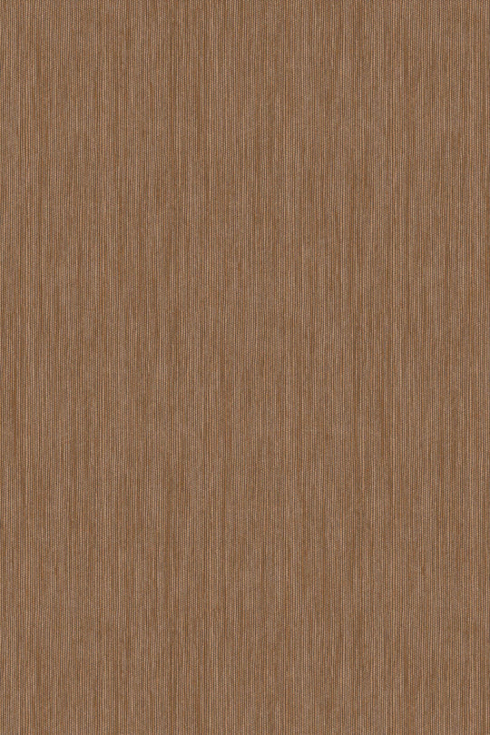 HookedOnWalls Passe Partout 2025 Tone on Tone Tone on Tone behang 4454Afbeelding 3