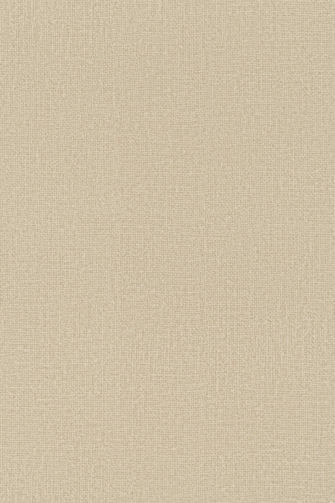 HookedOnWalls Passe Partout 2025 Tone on Tone Tone on Tone behang 4457Afbeelding 3