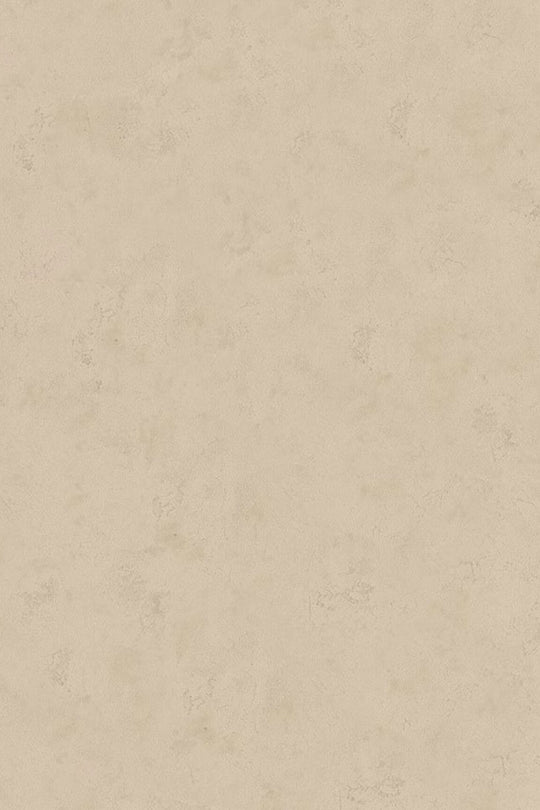 HookedOnWalls Passe Partout 2025 Tone on Tone Tone on Tone behang 4458Afbeelding 3