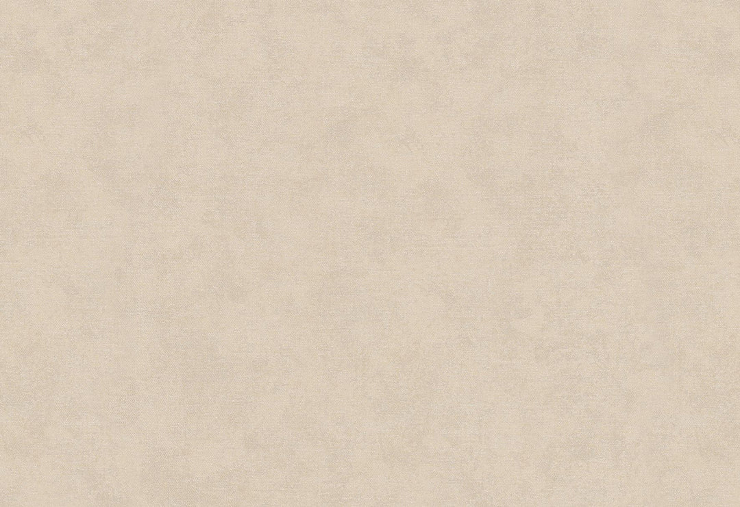 HookedOnWalls Passe Partout 2025 Tone on Tone Tone on Tone behang 4460Afbeelding 1