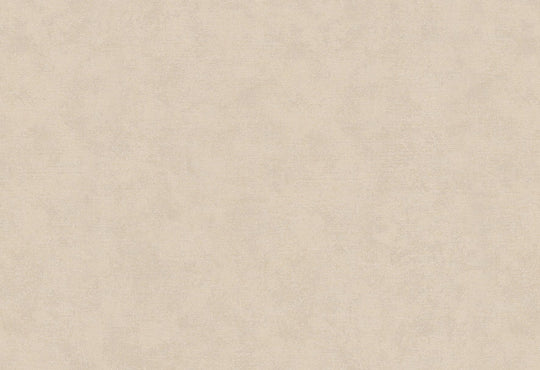 HookedOnWalls Passe Partout 2025 Tone on Tone Tone on Tone behang 4460Afbeelding 1