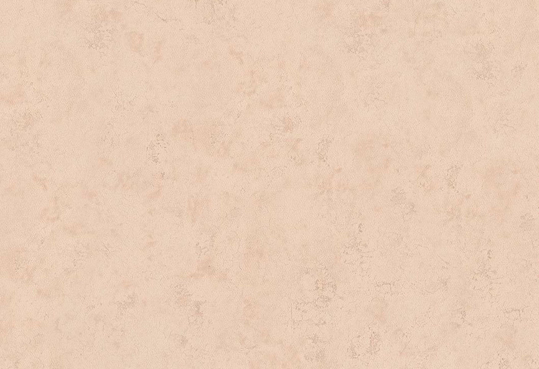 HookedOnWalls Passe Partout 2025 Tone on Tone Tone on Tone behang 4468Afbeelding 1